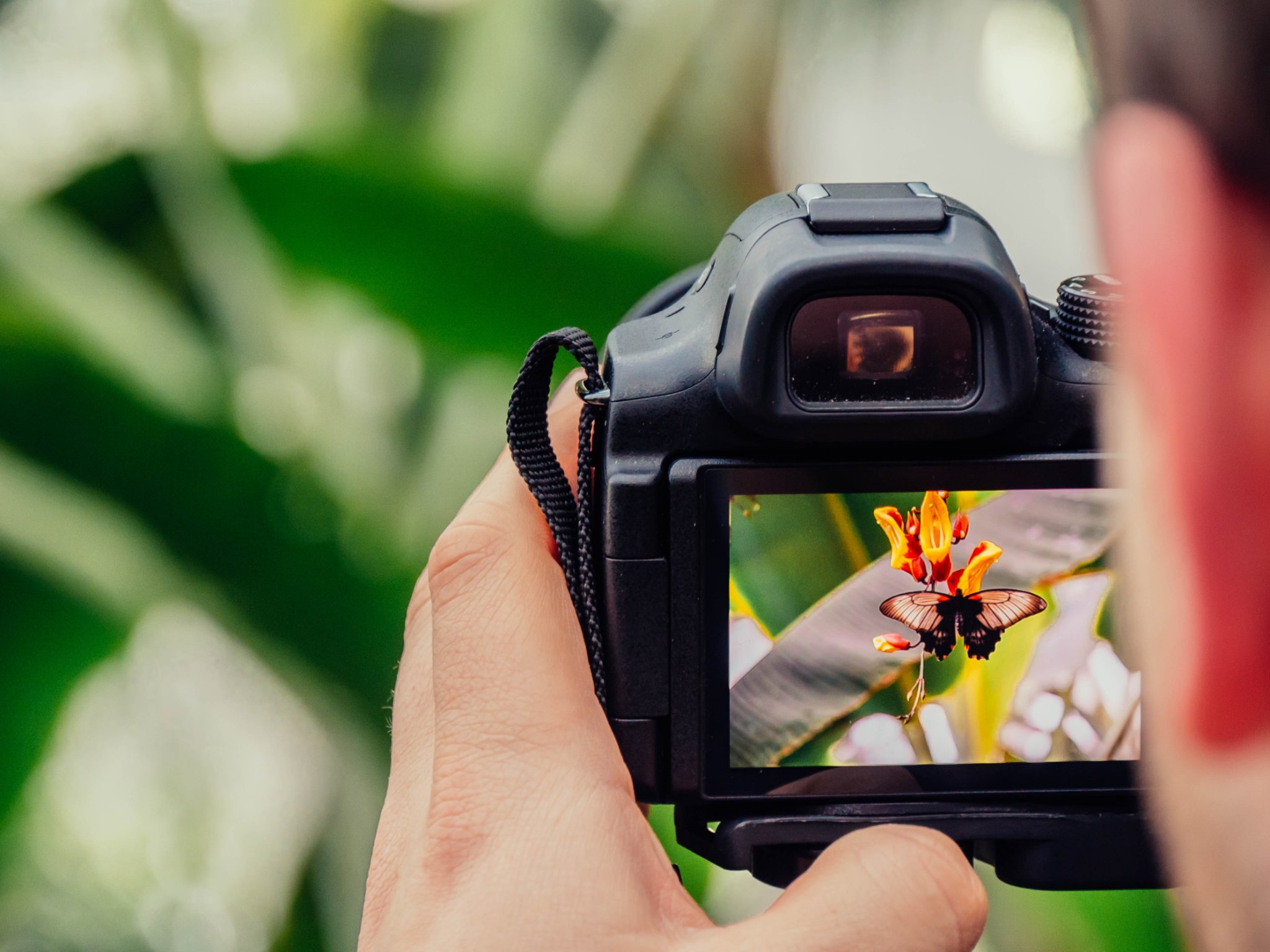 Los 7 mejores sitios web de fotografías de archivo para su negocio