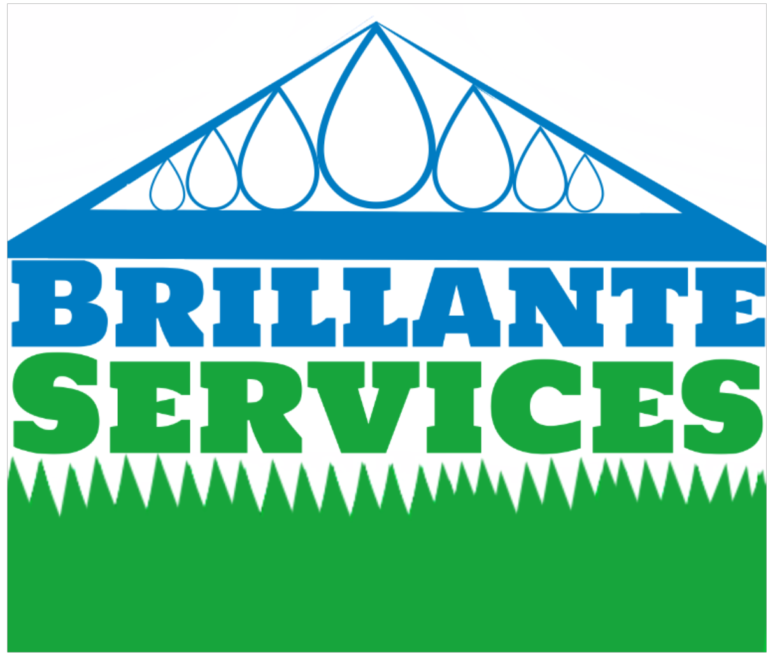 LOGO 768x657