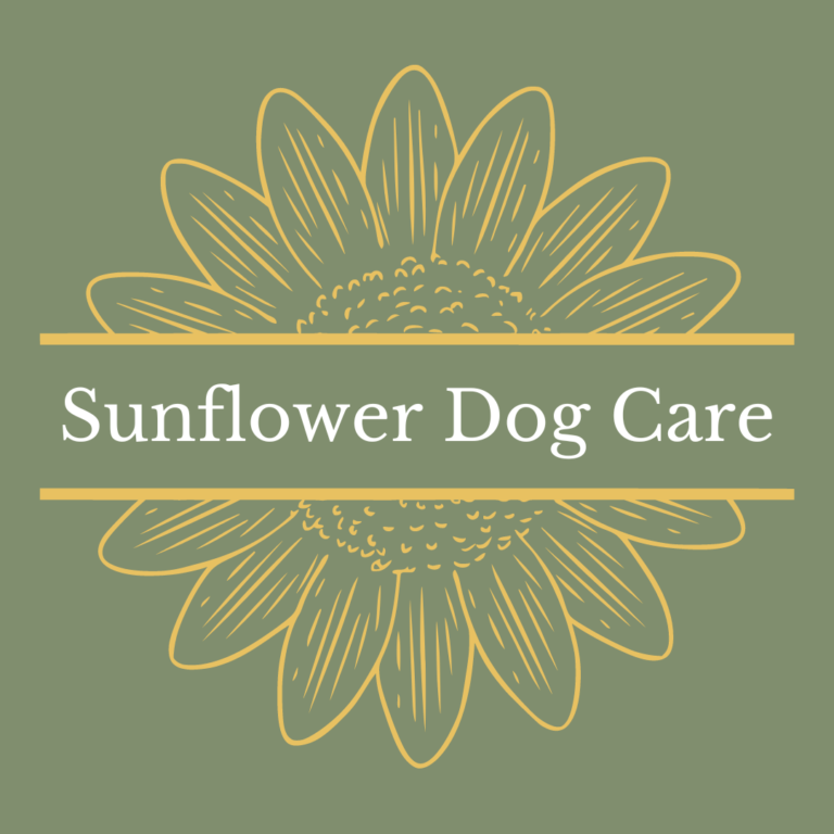 b7db13 3b9b677aa3394827a8da229c24b474ddmv2 1 768x768